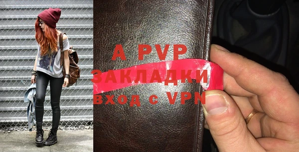 шишки Абаза