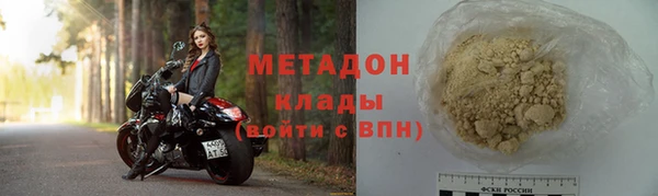 шишки Абаза
