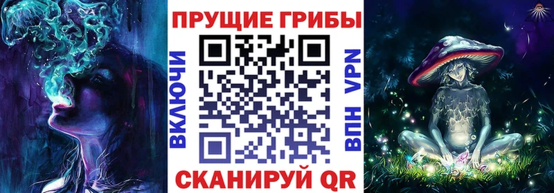 Псилоцибиновые грибы Psilocybe  OMG   Задонск 